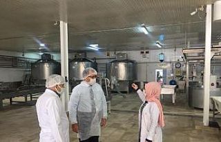 Altıntaş, Süt İşletmeleri’nde incelemelerde...
