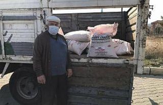 Altıntaş’ta alternatif buğday üretimi