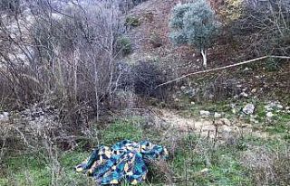 Alzheimer hastası ölü bulundu