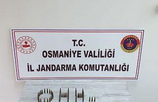 Amanoslar’da PKK’ya ait sığınak bulundu