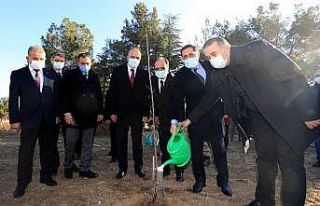 Amasya’da çiftçilere ’Amasya Misket Elması’...