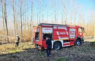 Anızı ateşe verdi, kavaklığı yakıyordu