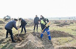 Ankara’ya 27 Aralık Ormanı