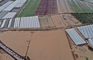 Antalya’da sel 9 bin 530 dekar ekili alana zarar...