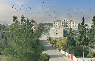 Araban sokakları boş kaldı