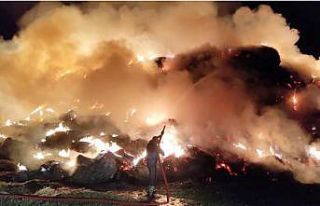 Arazide samanlar alev alev yandı