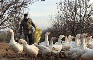 Arkadaşının tavsiyesine uydu şimdi paraya para...