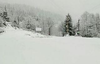 Artvin’de kar yağışı nedeniyle 29 köy yolu...