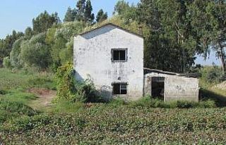 Aşağı Büyük Menderes Havzası yağmura hasret