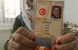 Asırlık çınar Korona’yı yendi