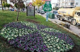 Atakum’da parklara kış bakımı
