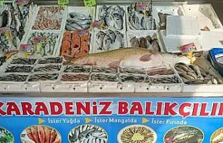 Atatürk Barajında yine dev turna balığı yakalandı