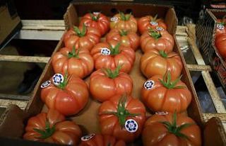 ATB Kasım ayı hal endeksini açıkladı