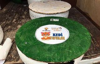 Atıklardan kedi yuvası
