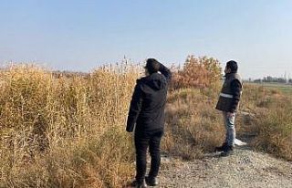 Av koruma denetimleri devam ediyor