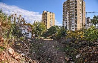 Ay Deresi yeşilleniyor