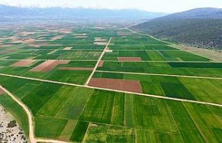 Aydın, Denizli ve Muğla’da 19 bin 861 hektarda...