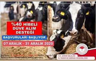 Aydın’da çiftçilere düve alım desteği verilecek