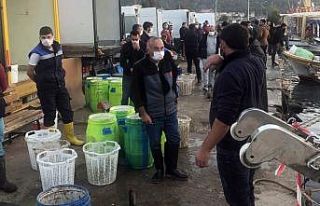 Aydın’da deniz patlıcanı avcılığı devam ediyor