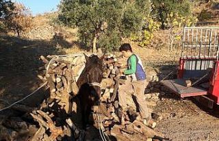 Aydın’da soğuklar başladı vatandaş yakacak...