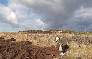 Ayvalık’ta dört kurum “Yeşil Adımlar” için...