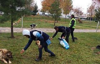 Bağlar Belediyesi sokak hayvanlarını unutmadı