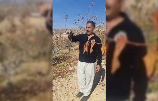 Bahçede gördüğü yılanı önce eline aldı, ardından...