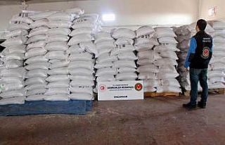 Bakla dendi yem bitkisi çıktı