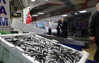 Balık çeşitlendi fiyatlar yükseldi