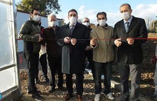 Balıkesir’de topraksız çilek üretimine başlandı