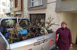 Balkonunda yetiştirip bağışladığı fidanlar...