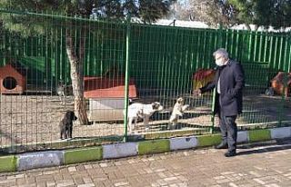 Başkan Deveciler yeni hayvan bakımevini denetledi
