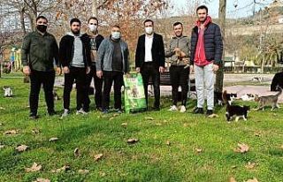 Başkan Şayir, sokak hayvanlarını unutmadı