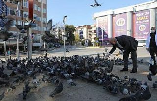 Başkan sokak hayvanlarını eliyle besledi