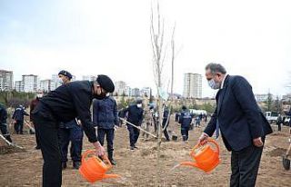 Başkan Yalçın’dan jandarma fidanlığına ağaç