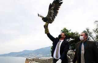 Başkan Yücel, tedavisi tamamlanan kartalı doğaya...