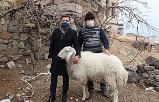 Başkandan koyunlara iade-i ziyaret