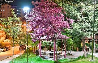 Başkentin parlayan yıldızı Mamak