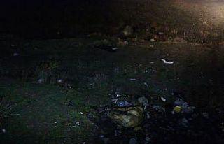 Başkent’te zehirlendikleri iddia edilen 6 köpek...