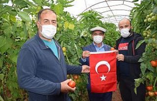 Başpehlivanlar domatese sahip çıktı
