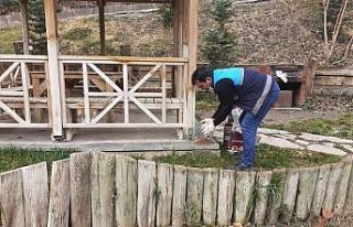 Battalgazi’de sokak hayvanları unutulmadı