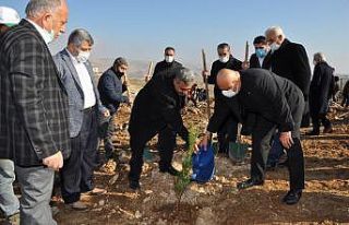 BATÜ’de 10 bin fidanlık Şehit Yasin Börü Ormanı...