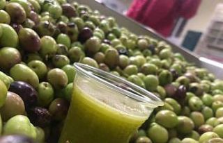 BAÜN’den tarımsal ve hayvansal üretim atağı