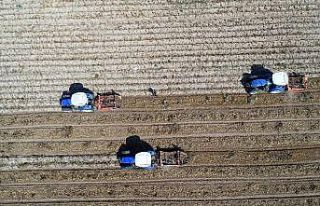 Bayburt havzasında 2021 yılında desteklenecek ürünler...