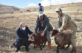 Bayburt’un yüksek rakımlı meraları artık boş...