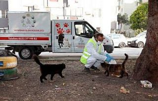 Bayraklı Belediyesi sokağa çıkma kısıtlamasında...