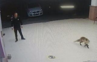 ’Besle tilkiyi, çalsın anahtarını’