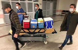 Beyin ölümü gerçekleşen hastanın organları...