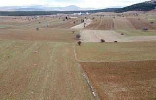 Beyşehir Gölünde su seviyesi azalıyor