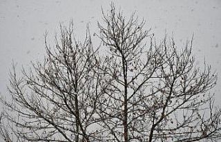 Beytüşşebap beyaza büründü